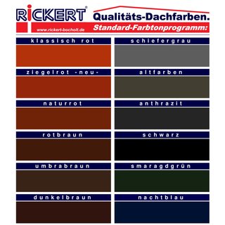 Rickert Nano-Top Dachfarbe 8055 seidenglänzend