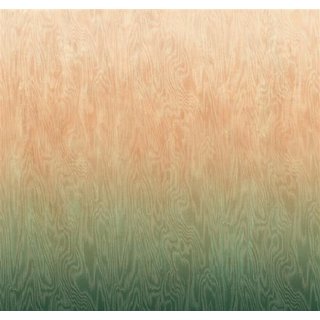 DG4MOI1082-300 Tapeten Masureel Khroma grün, gelb, rot  Wall Designs IV Digitalpanel
